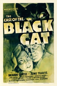 The Case of the Black Cat