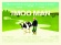 The Moo Man