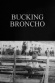 Bucking Broncho