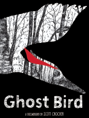 Ghost Bird