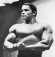 Arnold Schwarzenegger: Made in Britain