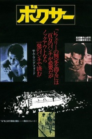 The Boxer