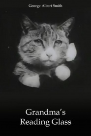 Grandma's Reading Glass