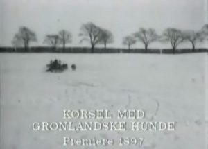 Kørsel med grønlandske hunde