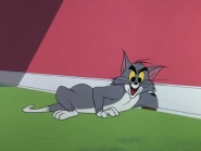 Is There a Doctor in the Mouse?