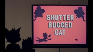 Shutter Bugged Cat