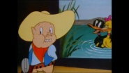 A Coy Decoy