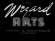 The Wizard of Arts