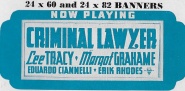 Criminal Lawyer