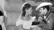 Beauty and the Bandit
