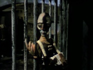 The Hunger Artist