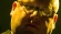 Frank Black