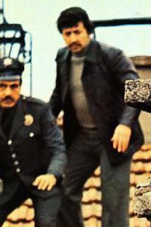 Metin Akpinar