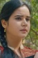 Shivshakti Sachdev